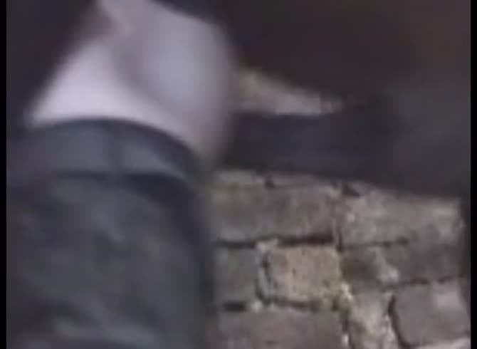 Video :Gay and horse anal sex video in the farm